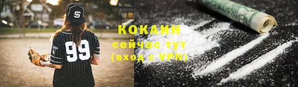соль ск Каменка