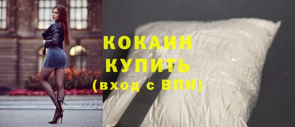 соль ск Каменка