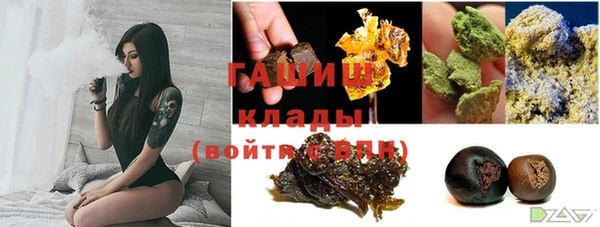 соль ск Каменка